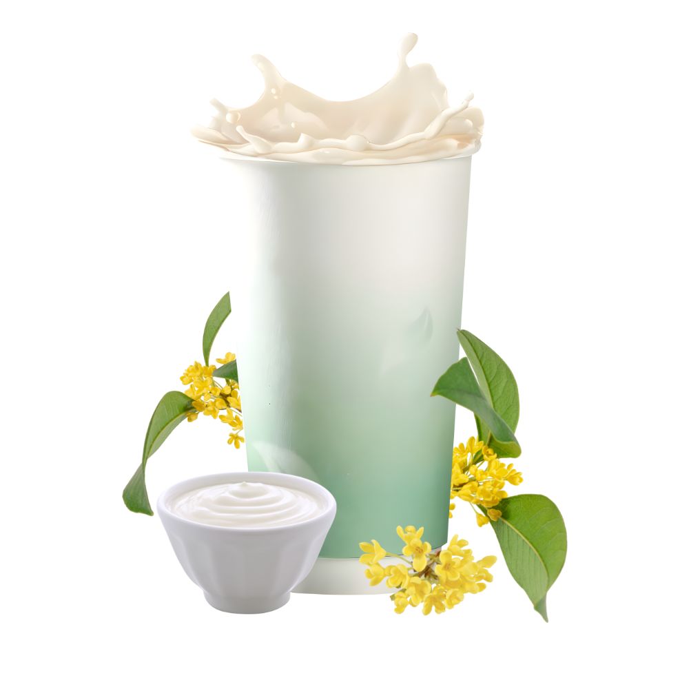 茶咖轻乳(非氢化奶油)  甄选好基底 奶源更纯粹  1L*12瓶/箱