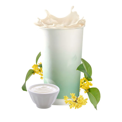 茶咖轻乳(非氢化奶油)  甄选好基底 奶源更纯粹  1L*12瓶/箱